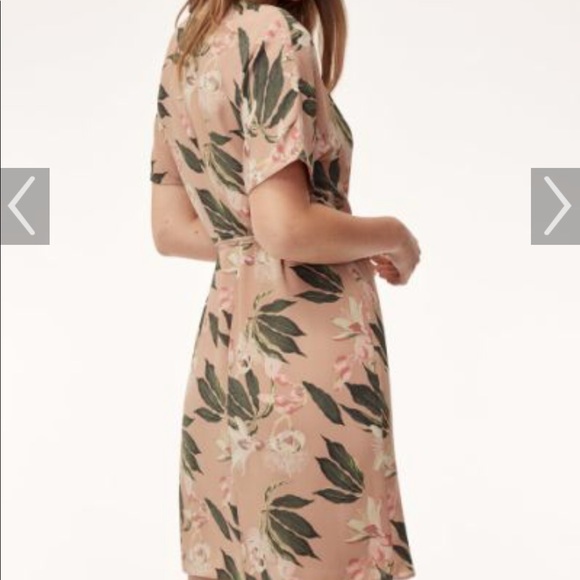 Aritzia Babaton Wallace Dress - Picture 3 of 5